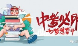 山东流浪动物爆料最新消息,最新爆料揭示生存困境与救助行动