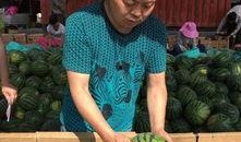 蔚县吃瓜事件最新爆料