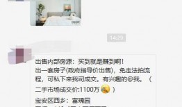 zsp市场价最新爆料,行情波动背后的秘密解析